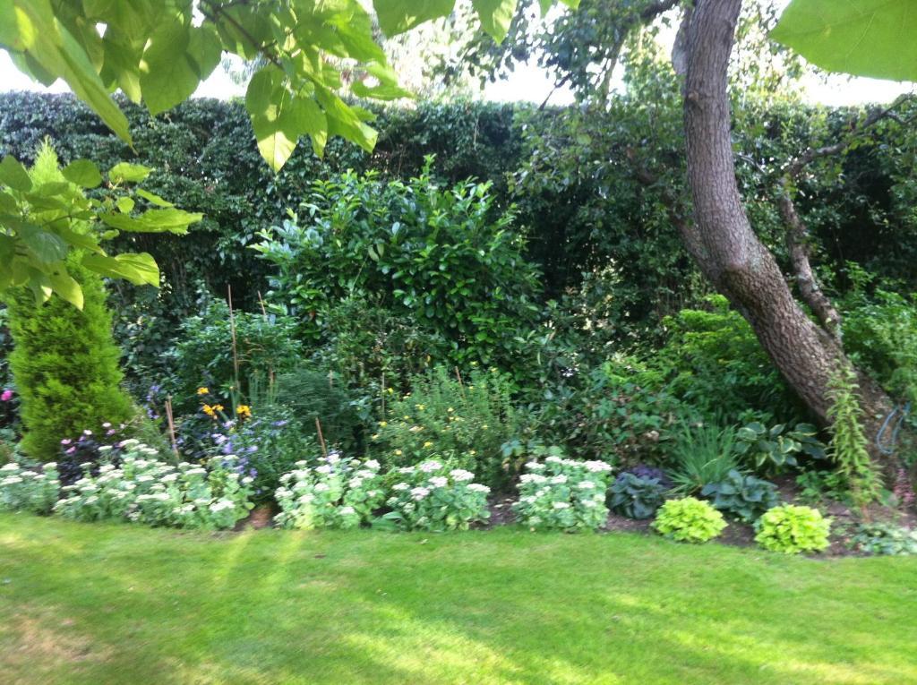 Bonningtons Stansted Self Catering Hotel Stansted Mountfitchet Room photo